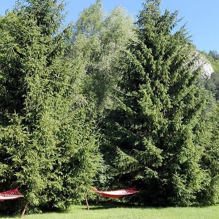 Pensiunea Alpin Predeal Esterno foto