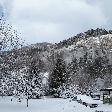 Pensiunea Alpin Predeal Esterno foto