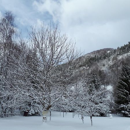 Pensiunea Alpin Predeal Esterno foto