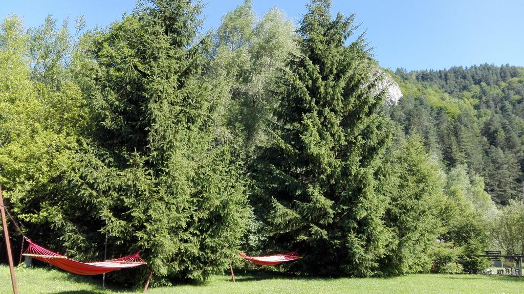 Pensiunea Alpin Predeal Esterno foto