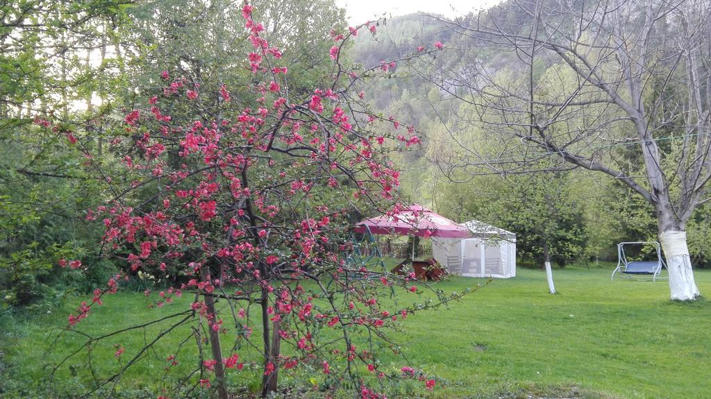 Pensiunea Alpin Predeal Esterno foto