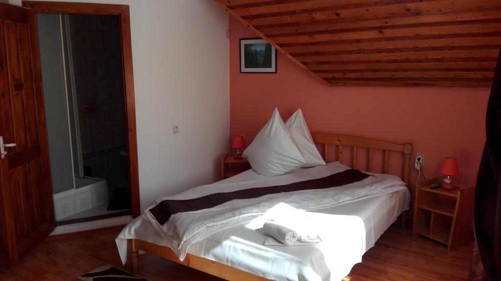 Pensiunea Alpin Predeal Esterno foto