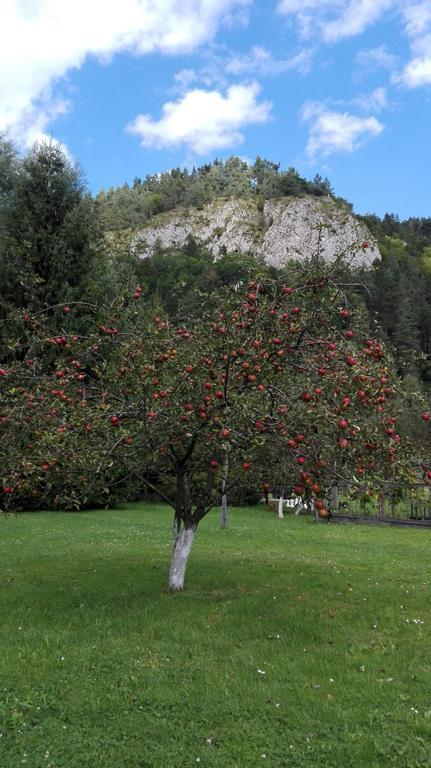 Pensiunea Alpin Predeal Esterno foto
