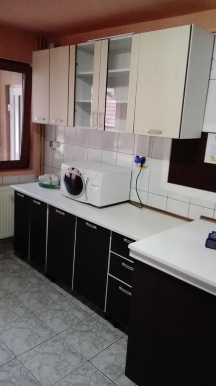Pensiunea Alpin Predeal Esterno foto