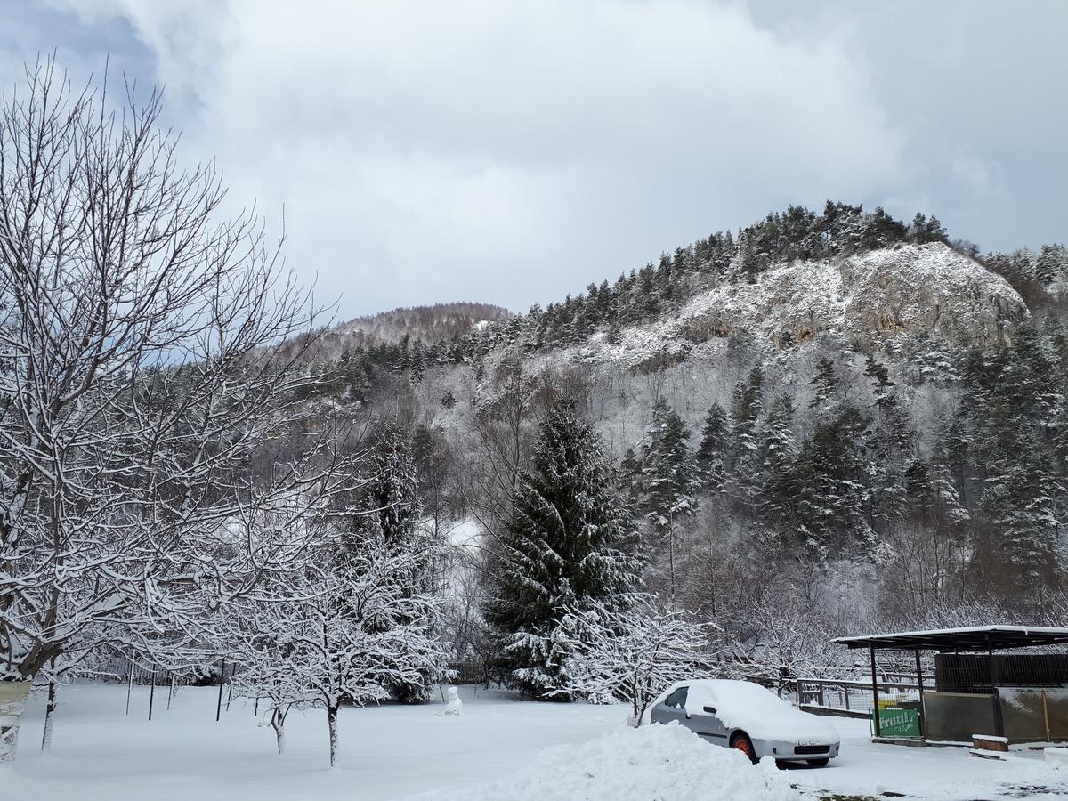 Pensiunea Alpin Predeal Esterno foto