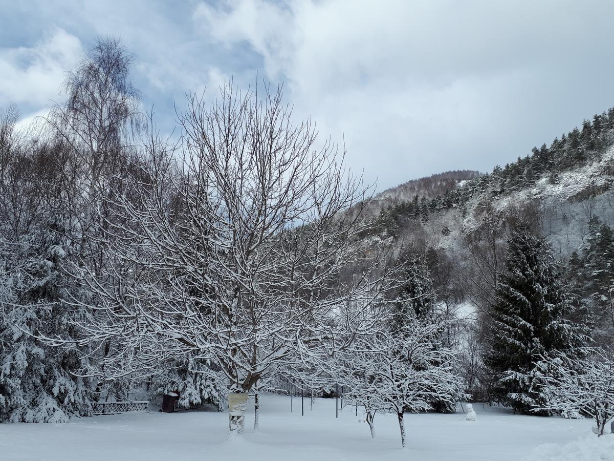 Pensiunea Alpin Predeal Esterno foto