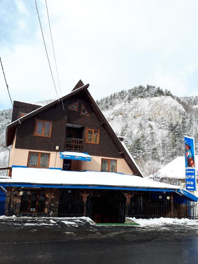 Pensiunea Alpin Predeal Esterno foto